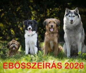 EBÖSSZEÍRÁS 2026.